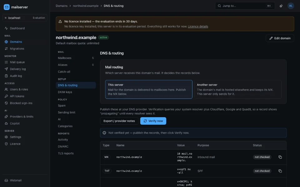 A domain’s DNS and routing section: whether this server receives its mail, and the MX, SPF and DKIM records to publish, each with its status.
