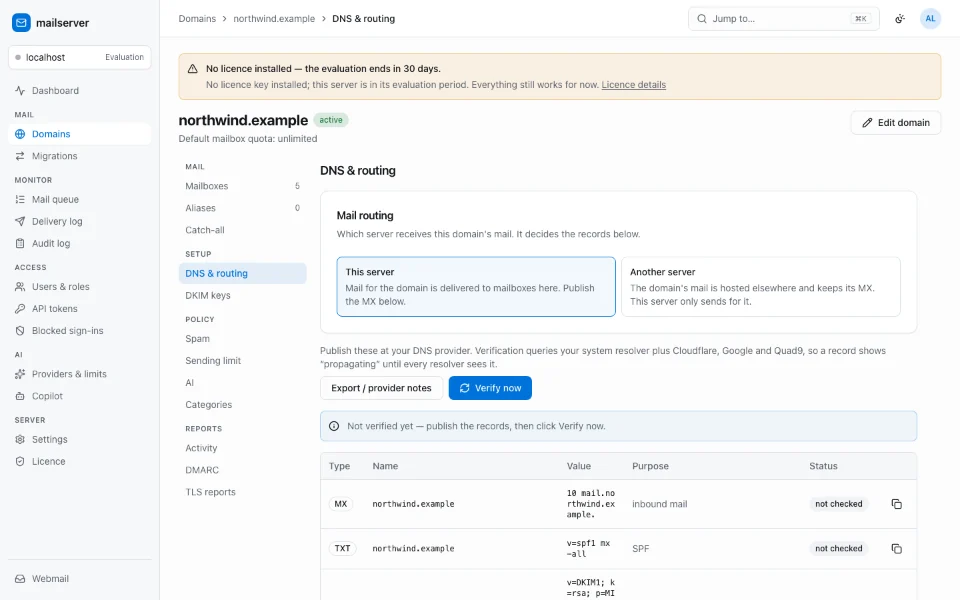 A domain’s DNS and routing section: whether this server receives its mail, and the MX, SPF and DKIM records to publish, each with its status.